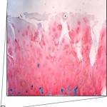 Afbeelding2 150x150