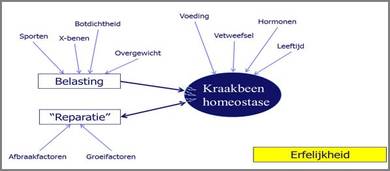 Erfelijkheid